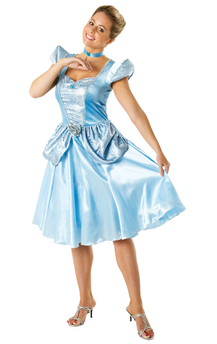 Adult Disney Cinderella Costume